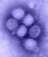 A(H1N1)v influenzavírus
